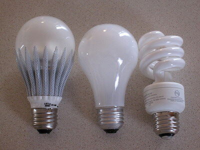 2-three-bulbs-compared-6278491