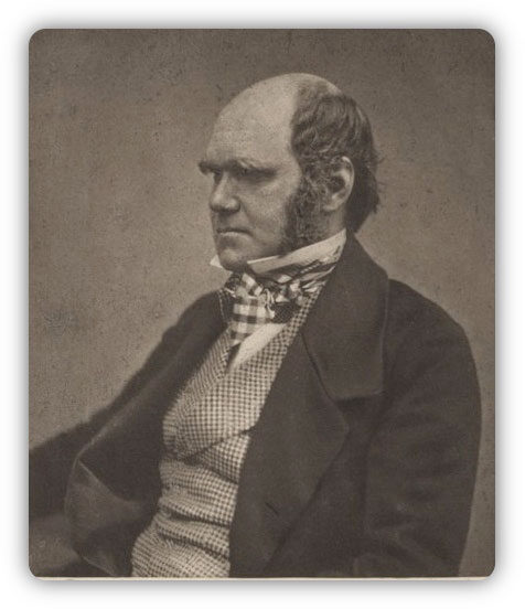 5darwinin1854-1878242